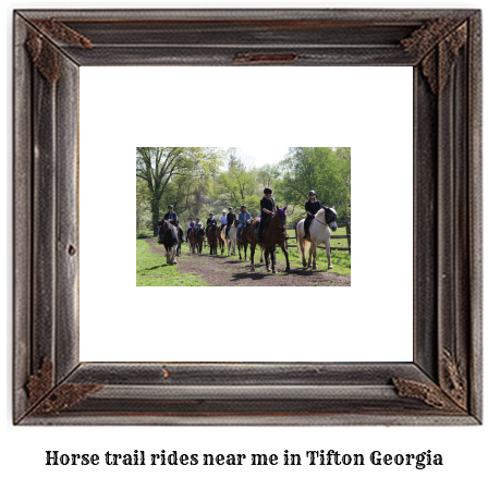 horse trail rides near me in Tifton, Georgia